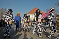 2011-03-08_067 Faschingszug_RM